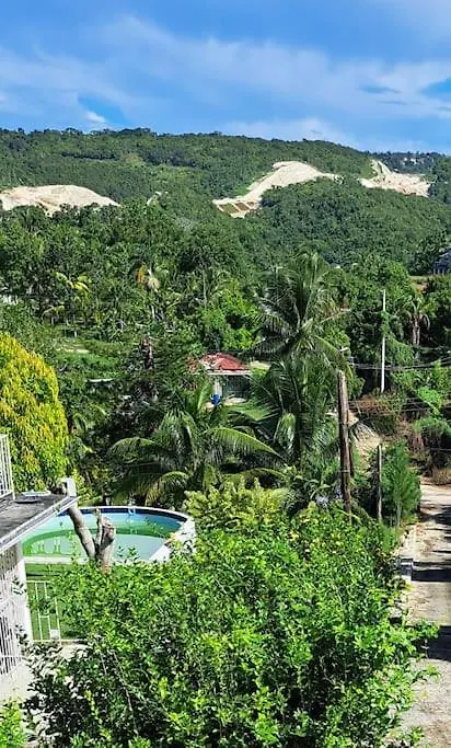 Montego Bay Hillside Retreatアパートメント アパート